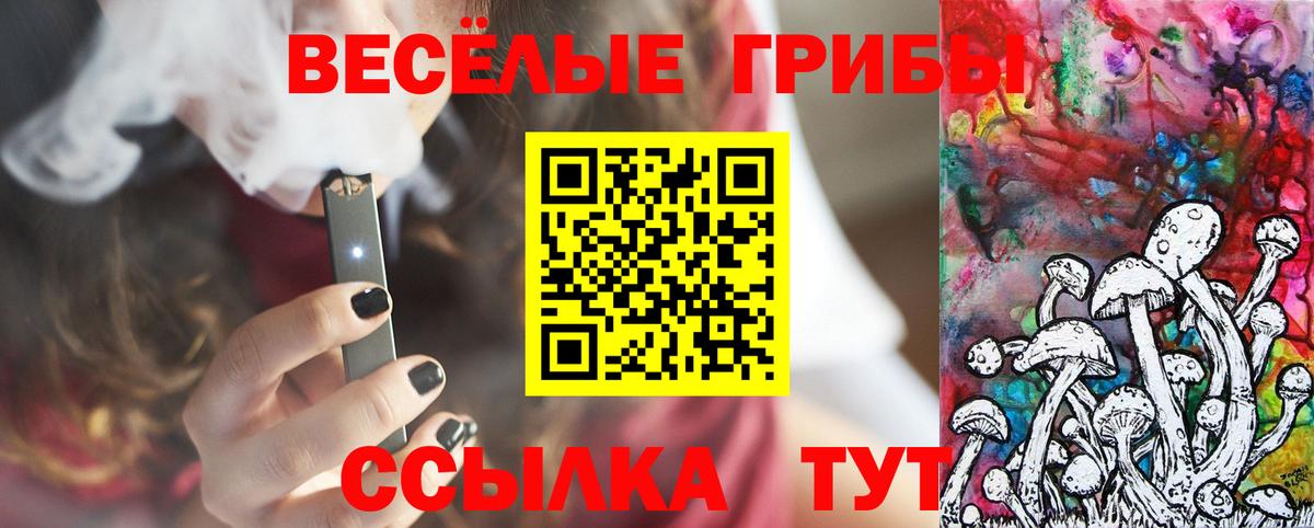 Самара  закладки  Вход с VPN  Галлюциногенные грибы GOLDEN TEACHER 